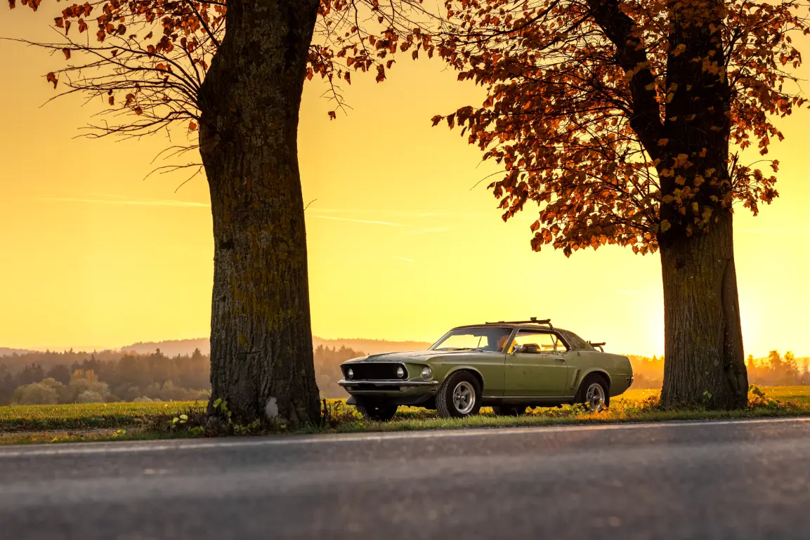 Classic Ford Mustang parked under a large tree at sunset with autumn leaves, creating a silhouette against a golden sky